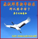 ���ֹ�,�����󷨵��ӹ�ףʦ�������(19��)