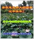 ֹ,󷨵ӹףʦ(18)