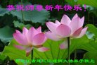 ֹ,󷨵ӹףʦ(19)