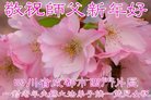 ֹ,ɶ󷨵ӹףʦ(21)