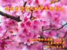 ֹ,󷨵ӹףʦ(18)