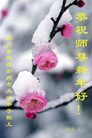 ֹ,ɶ󷨵ӹףʦ(21)