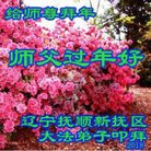 ���ֹ�,�����󷨵��ӹ�ףʦ������(18��)