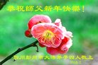 ֹ,ɶ󷨵ӹףʦ(21)