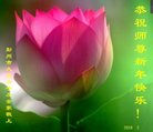 ֹ,ɶ󷨵ӹףʦ(19)