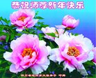 ֹ,Ĵ󷨵ӹףʦ(18)