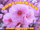 ֹ,ɶ󷨵ӹףʦ(22)