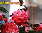 ֹ,Ĵ󷨵ӹףʦ(22)