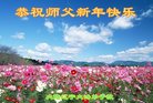 ֹ,󷨵ӹףʦ(20)