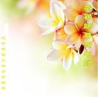 ���ֹ�,�̽��󷨵��ӹ�ףʦ�������(23��)