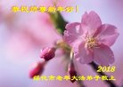 ֹ,󷨵ӹףʦ(21)