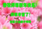 ֹ,󷨵ӹףʦ(20)
