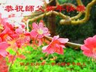 ֹ,ɶ󷨵ӹףʦ(19)