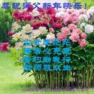 ֹ,󷨵ӹףʦ(24)