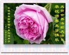 ֹ,մ󷨵ӹ編ִʦ𻪵(24)