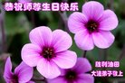 Published on 5/12/2018 ���ֹ�,����ҵ�󷨵��ӹ������編�ִ�����ʦ�𻪵�(26��)