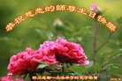 ֹ,ɶ󷨵ӹ編ִʦ𻪵(25)
