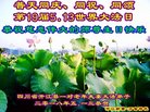 ֹ,Ĵ󷨵ӹ編ִʦ𻪵(25)