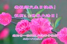 ֹ,Ĵ󷨵ӹ編ִʦ𻪵(25)