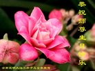 Published on 5/12/2018 ���ֹ�,��С���ӹ������編�ִ�����ʦ�𻪵�(23��)