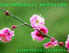 ֹ,󷨵ӹ編ִʦ𻪵(19)