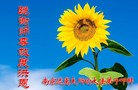 ֹ,մ󷨵ӹ編ִʦ𻪵(20)