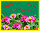 ֹ,Ĵ󷨵ӹ編ִʦ𻪵(20)