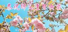 ֹ,żҿڴ󷨵ӹ編ִʦ𻪵(22)