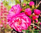 Published on 5/13/2018 ���ֹ�,��½�󷨵��ӹ������編�ִ�����ʦ�𻪵�(27��)