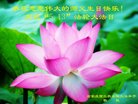 ֹ,ʯׯ󷨵ӹ編ִʦ𻪵(26)