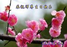 ֹ,󷨵ӹ編ִʦ𻪵(24)