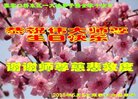 ֹ,żҿڴ󷨵ӹ編ִʦ𻪵(22)