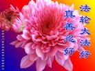 ֹ,ϴ󷨵ӹ編ִʦ𻪵(19)
