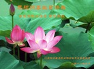 ֹ,մ󷨵ӹ編ִʦ𻪵(24)