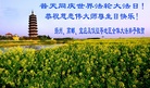 ֹ,մ󷨵ӹ編ִʦ𻪵(24)