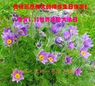 ֹ,󷨵ӹ編ִʦ𻪵(25)