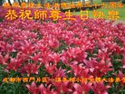 ֹ,ɶ󷨵ӹ編ִʦ𻪵(29)