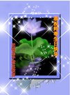 ֹ,մ󷨵ӹ編ִʦ𻪵(21)