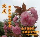 ֹ,մ󷨵ӹ編ִʦ𻪵(21)