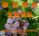 ���ֹ�,�żҿڴ󷨵��ӹ������編�ִ�����ʦ�𻪵�(23��)