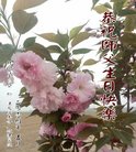 Published on 5/12/2018 ���ֹ�,ʦ�𻪵������졡��½���취�����Ӵ󷨵�����ʦ��