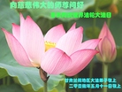 ֹ,󷨵ӹ編ִʦ𻪵(26)