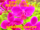 ֹ,󷨵ӹ編ִʦ𻪵(26)