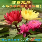 Published on 5/10/2018 ���ֹ�,��С���ӹ������編�ִ�����ʦ�𻪵�(20��)