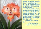 Published on 5/13/2018 ���ֹ�,��½�󷨵��ӹ������編�ִ�����ʦ�𻪵�(27��)