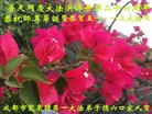 ֹ,ɶ󷨵ӹ編ִʦ𻪵(20)
