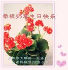 ֹ,ɶ󷨵ӹ編ִʦ𻪵(22)