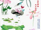 ֹ,Ĵ󷨵ӹ編ִʦ𻪵(20)