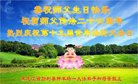 ֹ,󷨵ӹ編ִʦ𻪵(20)