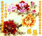 ֹ,Ĵ󷨵ӹ編ִʦ𻪵(24)